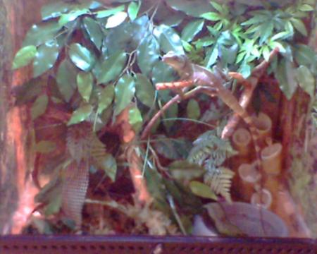 le vivarium